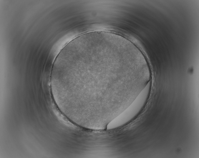 X0000115610954200912221204
