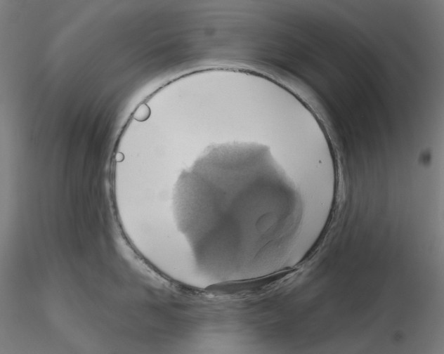 X0000115610958200912221204
