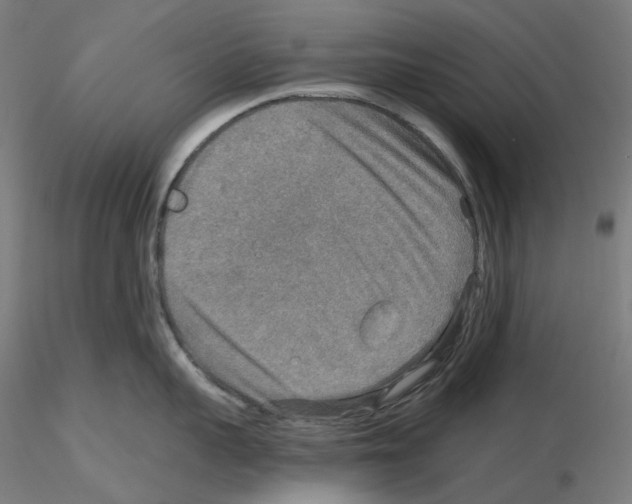 X0000115610959200912221204