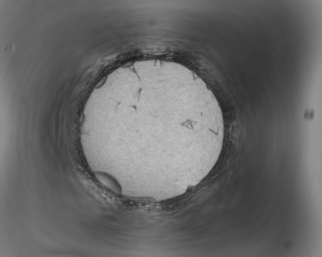 X0000115610961200912221204