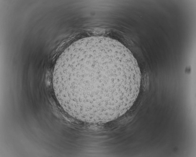 X0000115610962200912221204