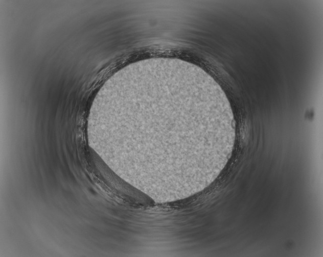 X0000115610964200912221204