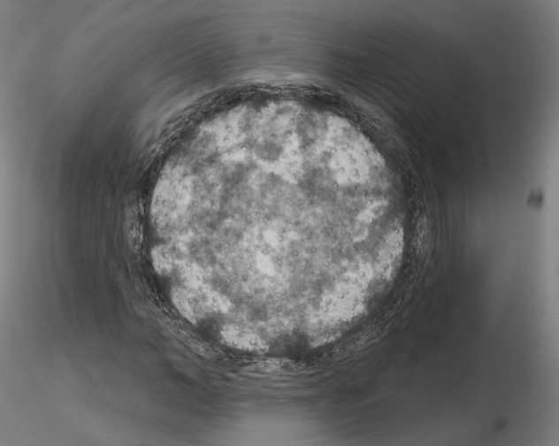 X0000115610966200912221204