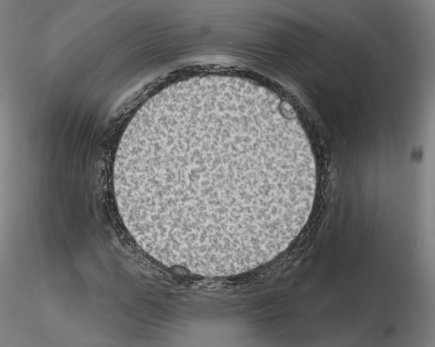 X0000115610967200912221204