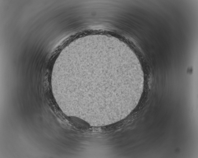 X0000115610968200912221204