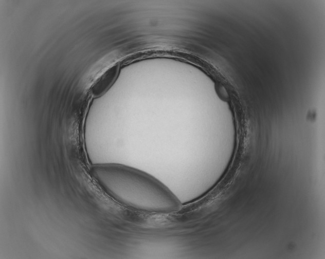 X0000115610969200912221204