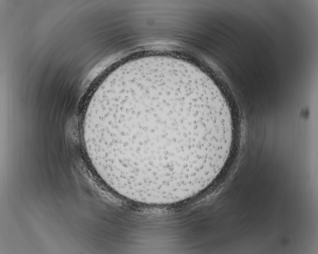 X0000115610970200912221204
