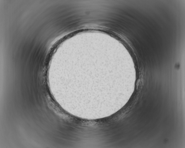 X0000115610971200912221204