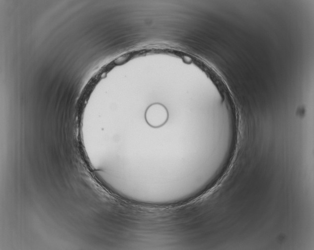 X0000115610973200912221203