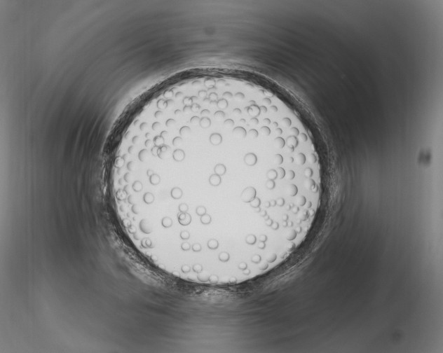 X0000115610974200912221203