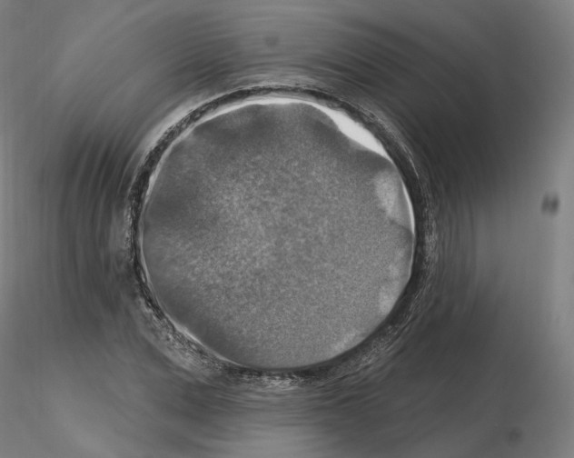 X0000115610975200912221203