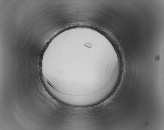 X0000115610977200912221203