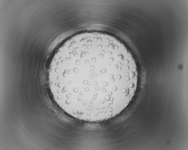 X0000115610978200912221203
