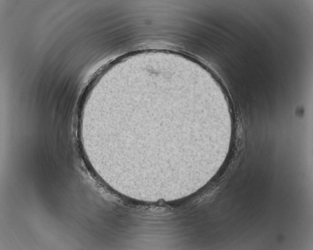 X0000115610979200912221203
