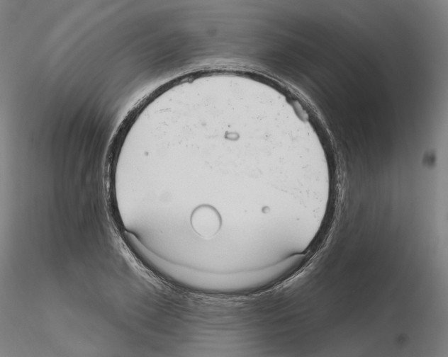 X0000115610981200912221203