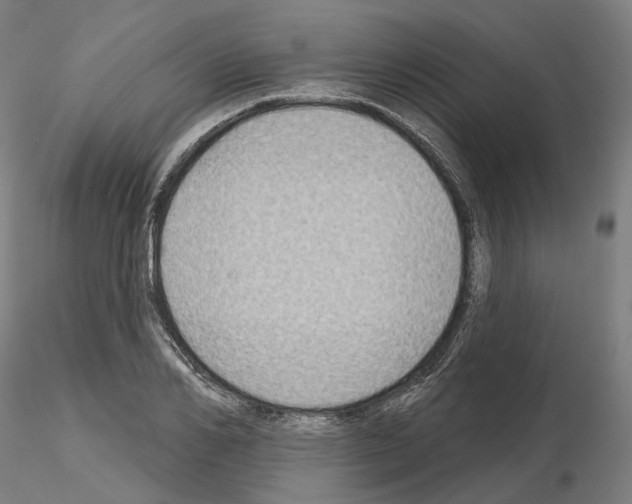 X0000115610982200912221203