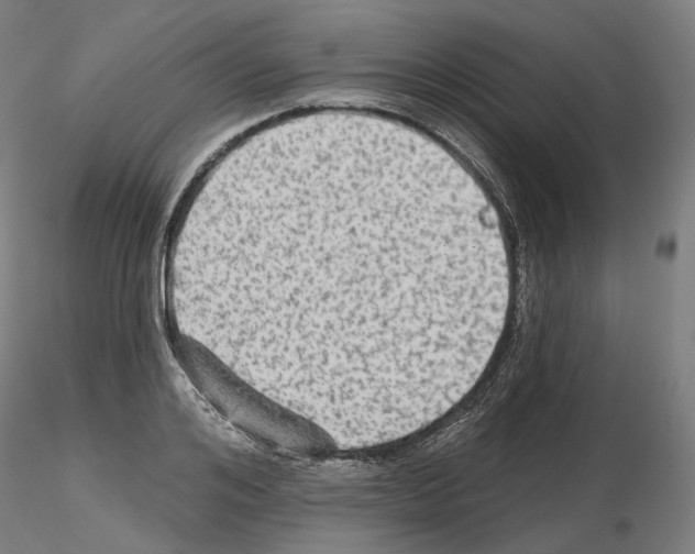 X0000115610984200912221203