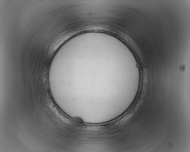 X0000115610985200912221203