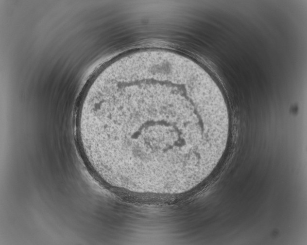 X0000115610987200912221203
