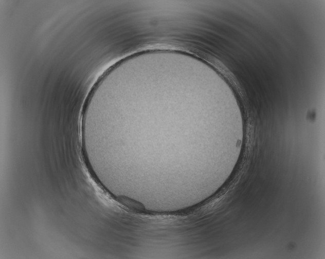 X0000115610988200912221203