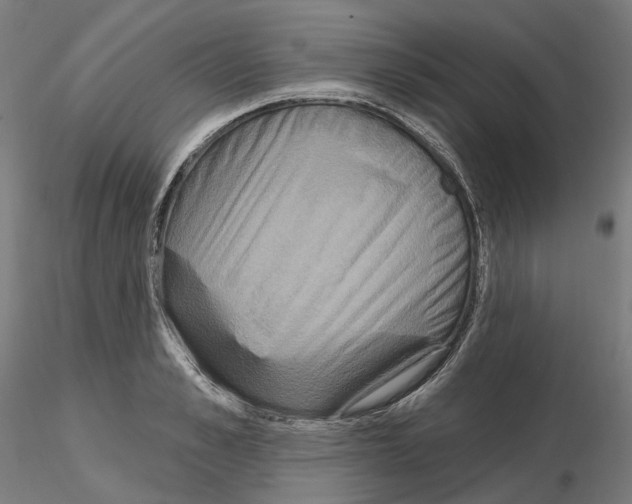 X0000115610989200912221203