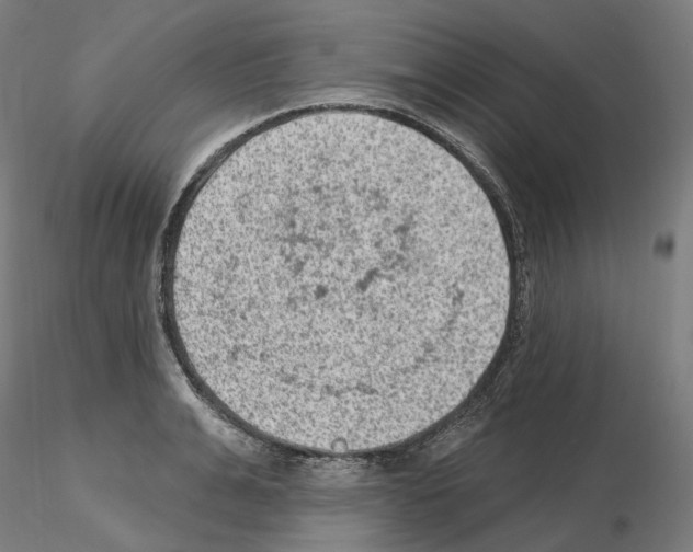 X0000115610991200912221203