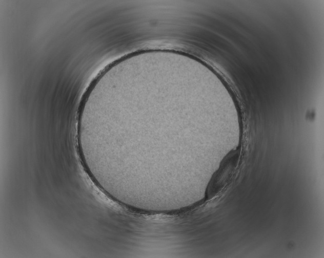 X0000115610992200912221203
