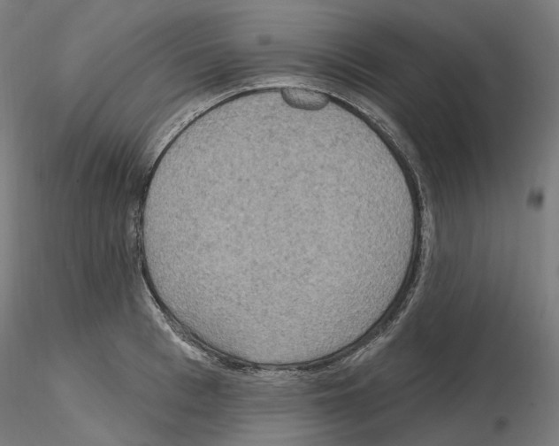 X0000115610993200912221203