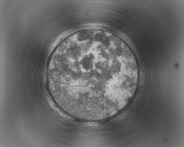 X0000115610994200912221203