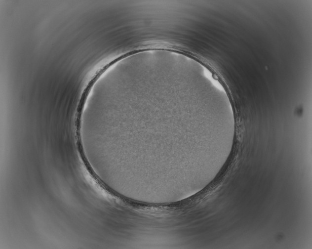 X0000115610995200912221203