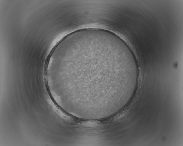 X0000115610998200912221203