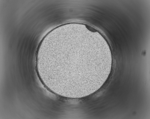 X0000115610999200912221203