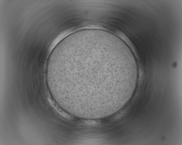 X0000115611002200912221203