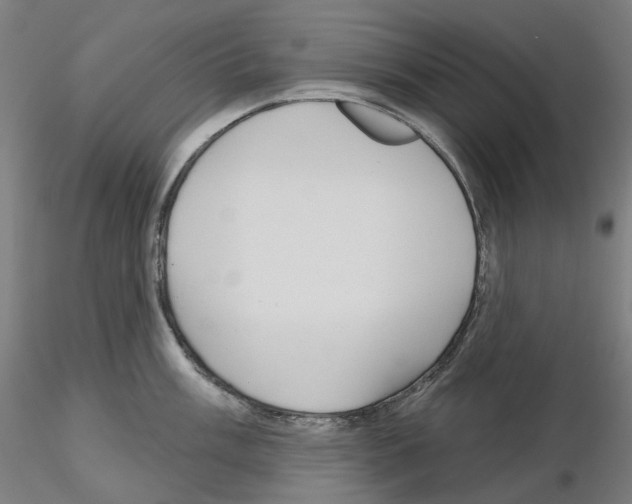 X0000115611003200912221203