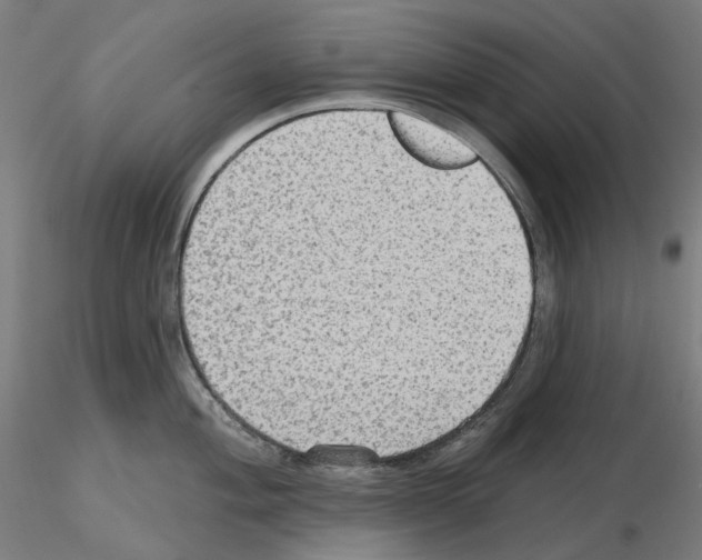 X0000115611004200912221203