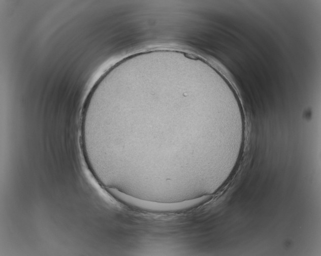X0000115611005200912221203