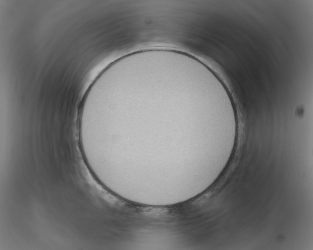 X0000115611006200912221203