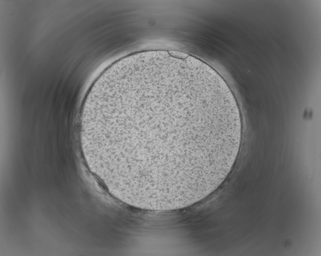 X0000115611008200912221203
