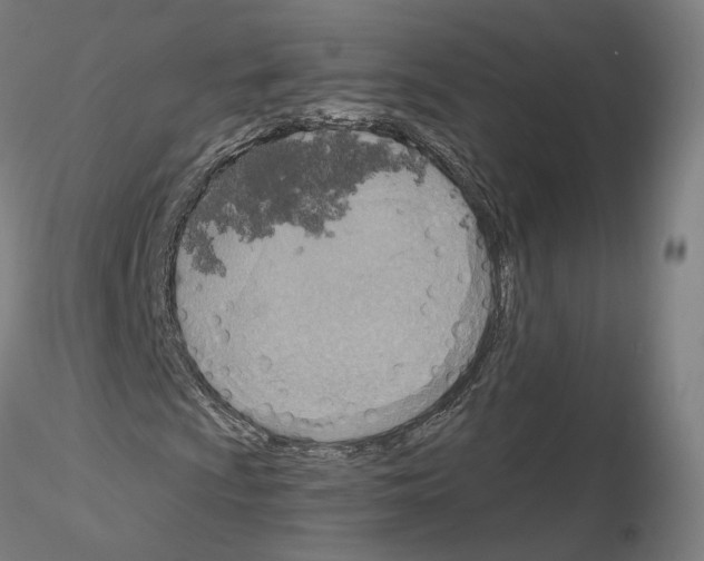 X0000115611009200912221202