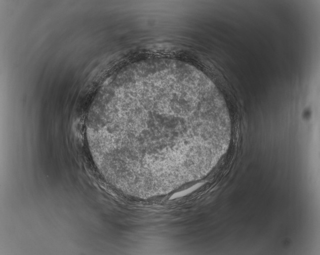 X0000115611010200912221202