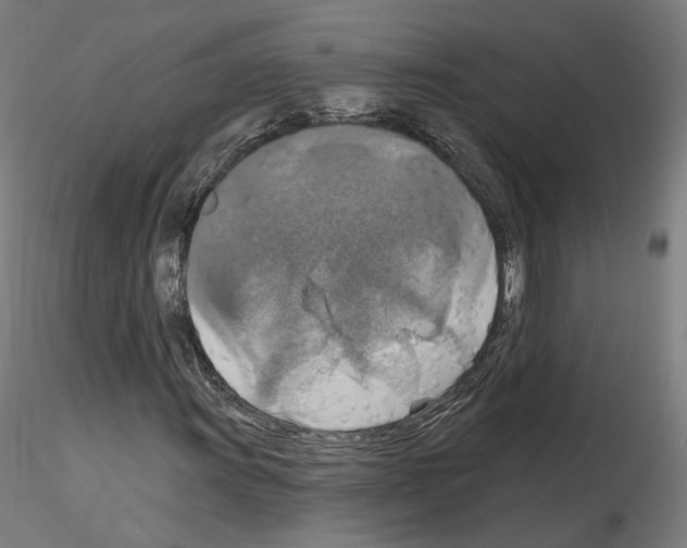 X0000115611011200912221202