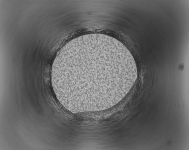 X0000115611012200912221202