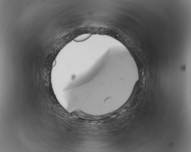 X0000115611013200912221202