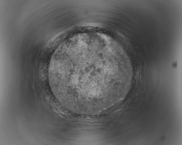X0000115611014200912221202