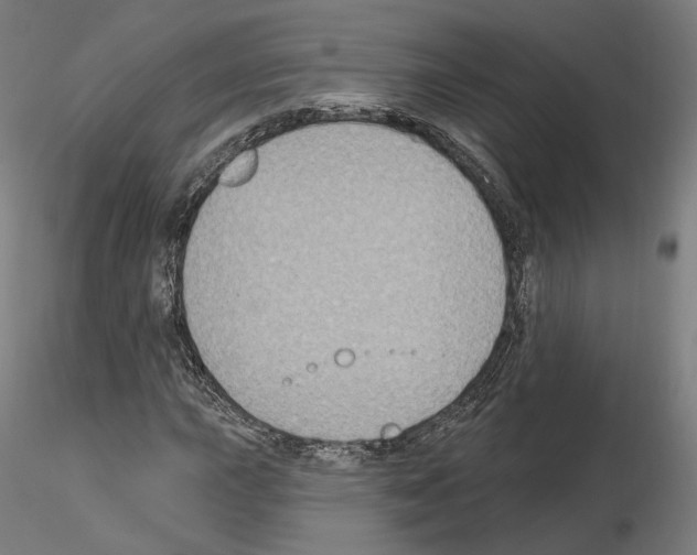 X0000115611015200912221202