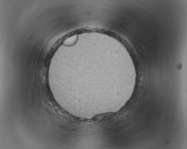 X0000115611016200912221202