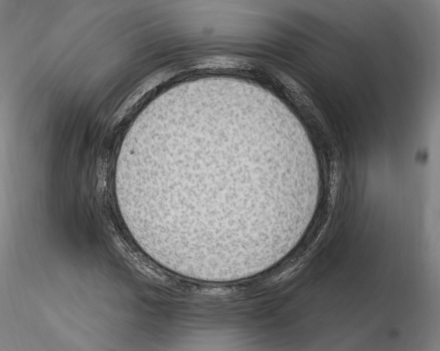 X0000115611017200912221202