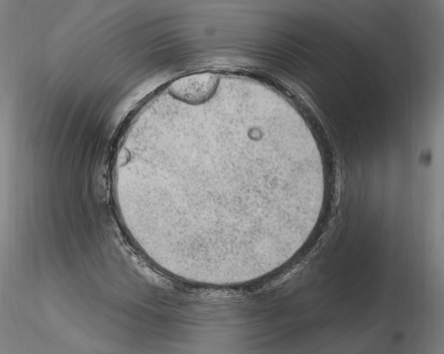 X0000115611018200912221202