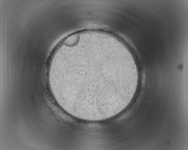 X0000115611021200912221203