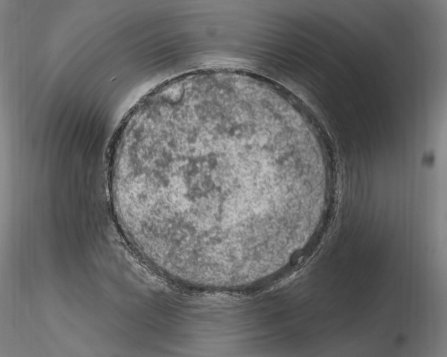 X0000115611022200912221203